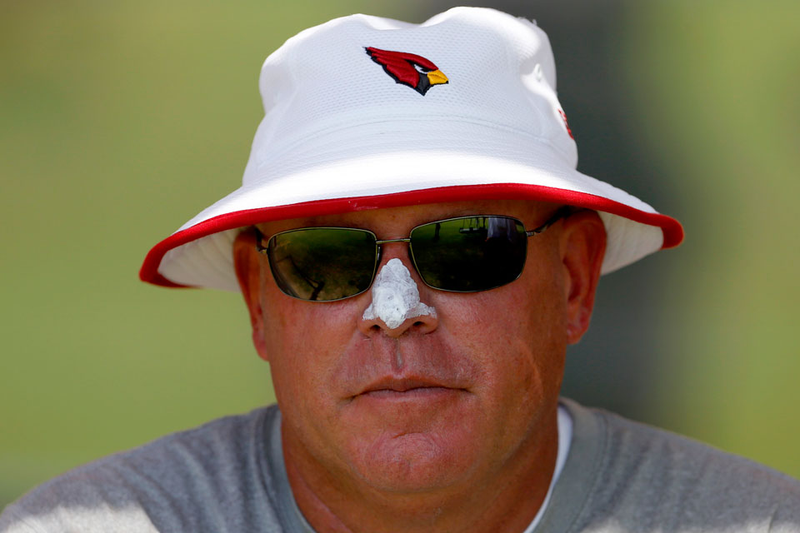 Illustration for article titled Why Your Team Sucks 2014: Arizona Cardinals